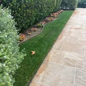 A Southern California lawn treated by Lawnscape Systems
