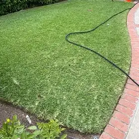 A Southern California lawn treated by Lawnscape Systems